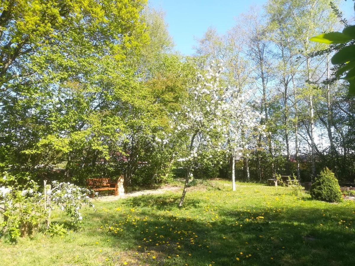 Vegawagen Psyche, Een Sprookje In Coevorden Bagian luar foto