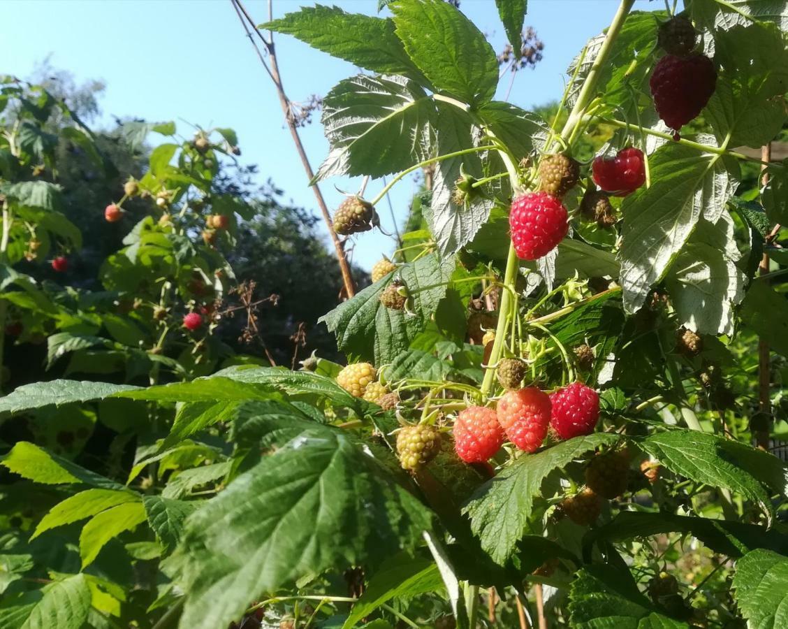 Vegawagen Psyche, Een Sprookje In Coevorden Bagian luar foto