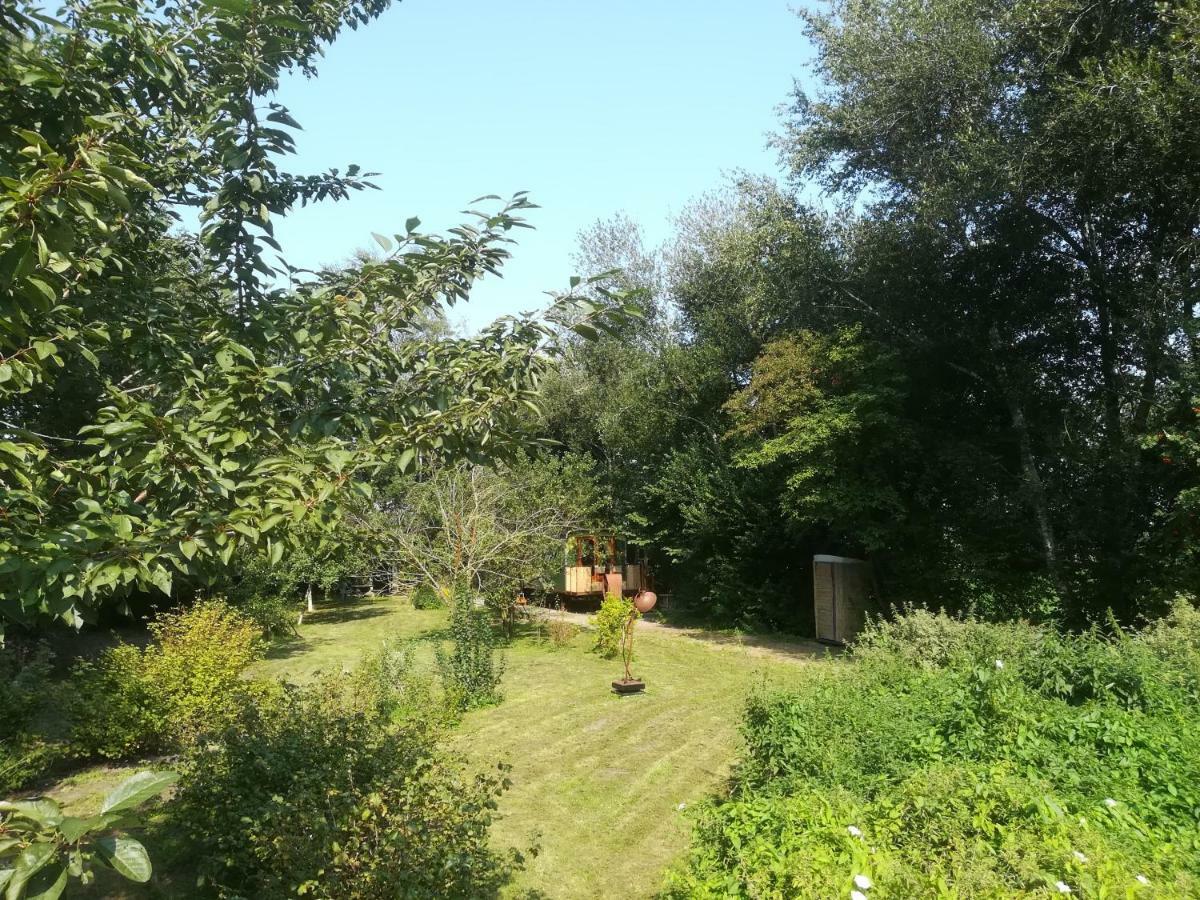 Vegawagen Psyche, Een Sprookje In Coevorden Bagian luar foto